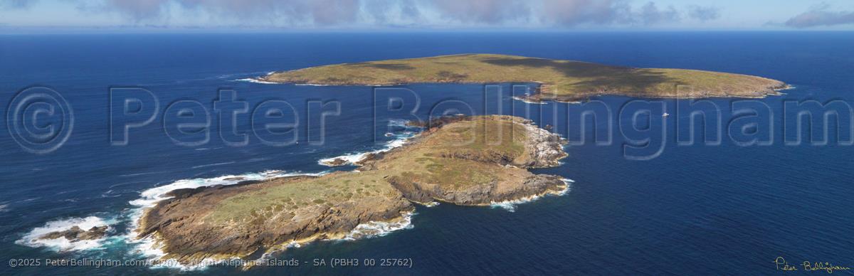 Peter Bellingham Photography North Neptune Islands - SA (PBH3 00 25762)